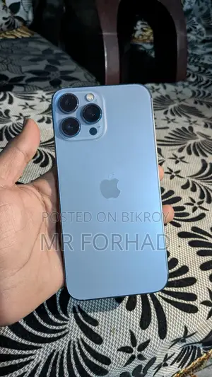 Apple iPhone 13 Pro Max 256GB (Used)