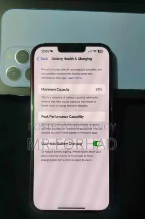 Apple iPhone 13 Pro Max 256GB (Used)