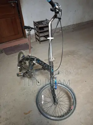 Vking Bicycle
