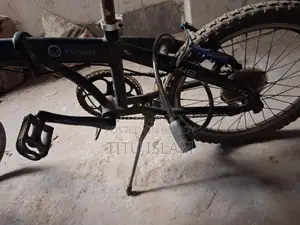 Vking Bicycle