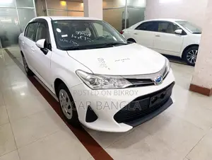 Toyota Axio EX_PKG 2020