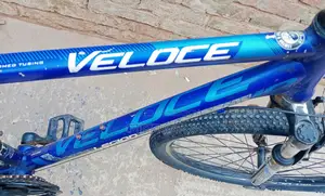 Bicycle for Sale