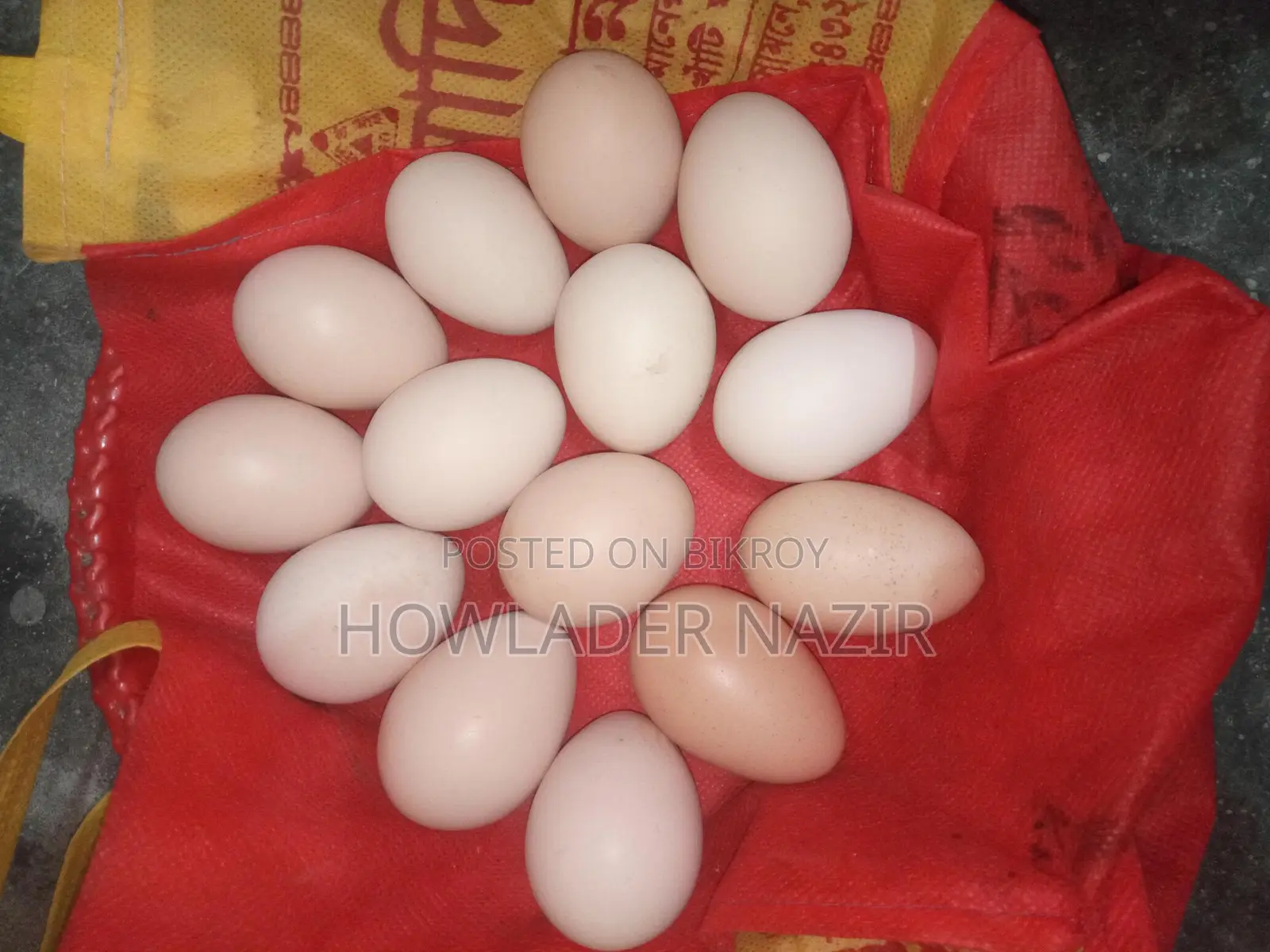 Light Brahma and Short Silky Chicken Hatching Eggs Per Piece