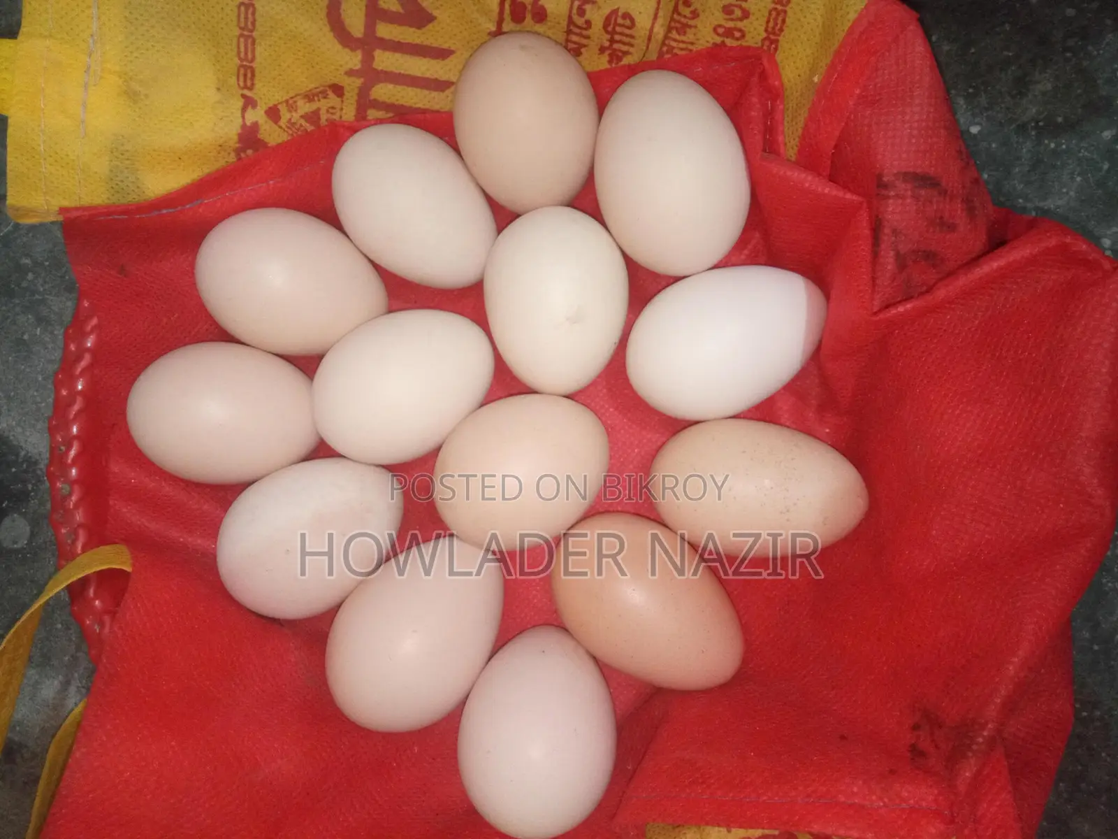Light Brahma and Short Silky Chicken Hatching Eggs Per Piece