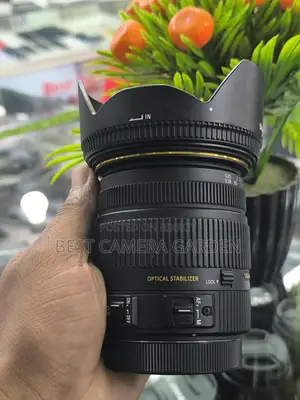 Sigma 17-50mm DC