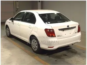 Toyota Axio EX 2020