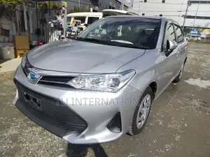 Toyota Axio HYBRID EX PACKAGE 2021