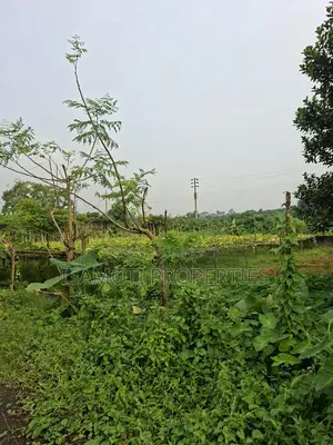 Lake View 7.5 Katha Plot for Sale Sector 26