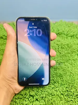 Apple iPhone 12 Pro (Used)