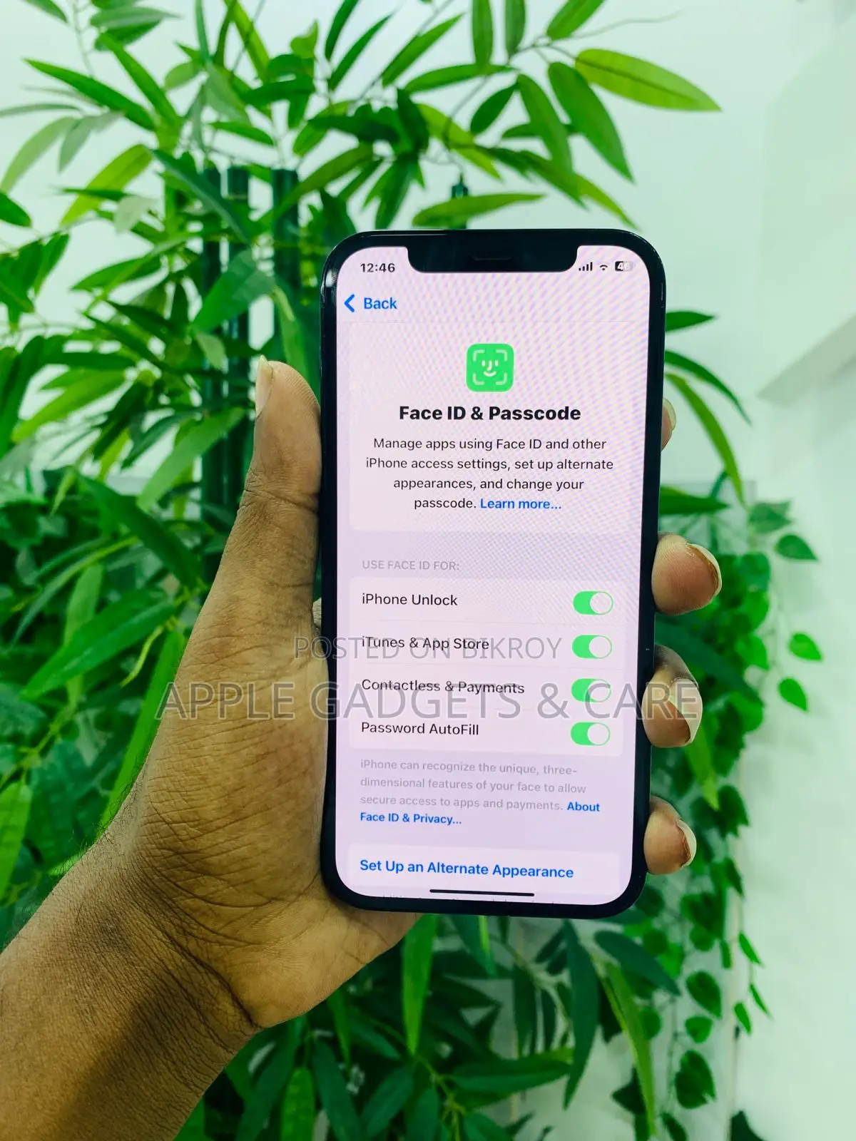 Apple iPhone 12 Pro 128GB (Used)