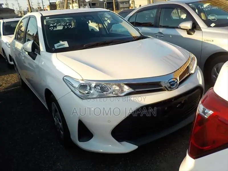 Toyota Axio EX 2020