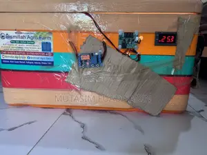 Fully Automatic Incubator for 56 Eggs