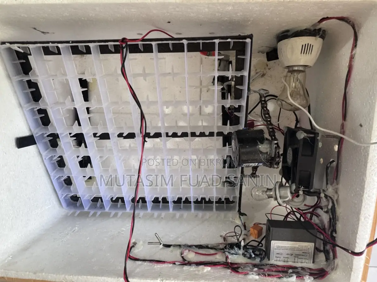 Fully Automatic Incubator for 56 Eggs