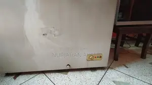 Singer Deep Fridge