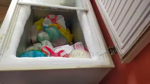 Singer Deep Fridge