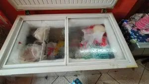 Singer Deep Fridge