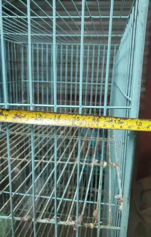Pigeon Cage