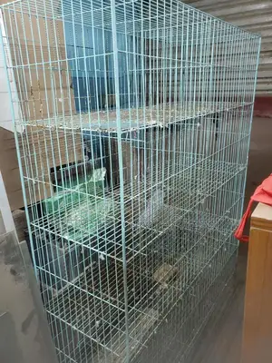 Pigeon Cage