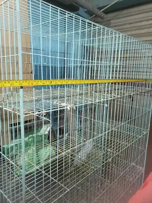 Pigeon Cage