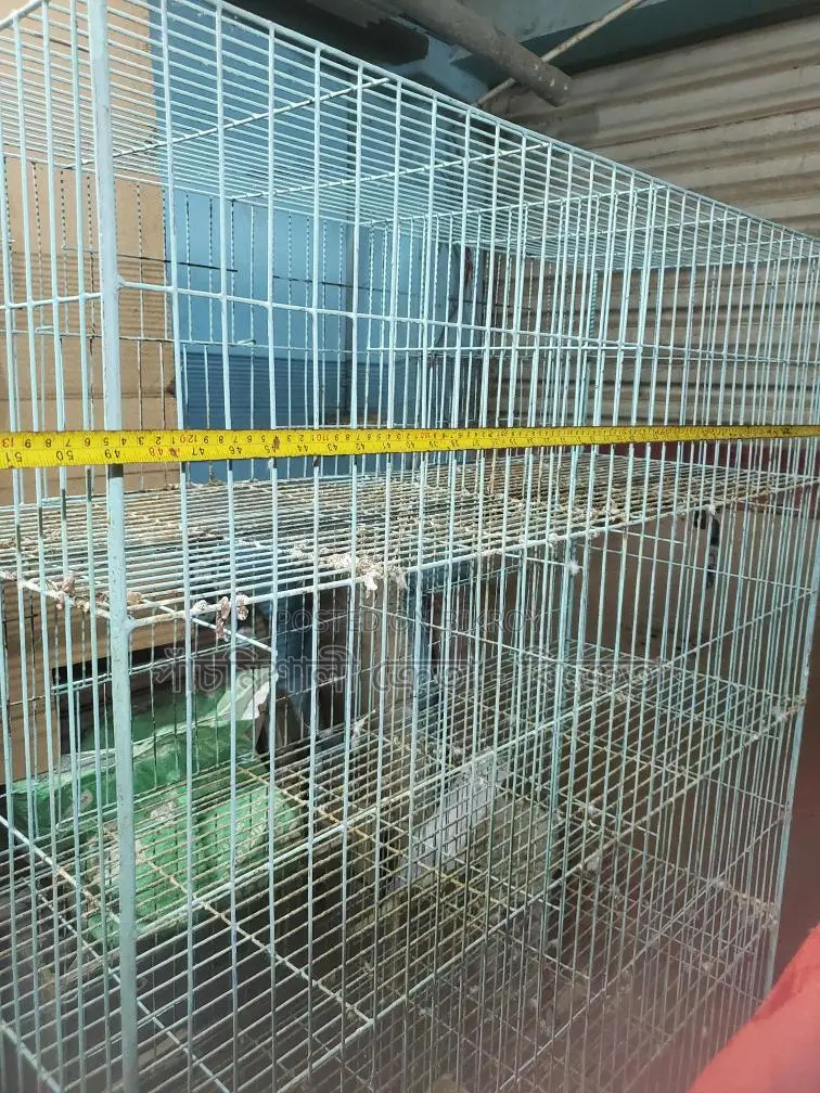 Pigeon Cage