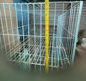 Pigeon Cage