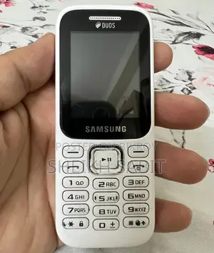 Samsung Guru Music 2 (Used)