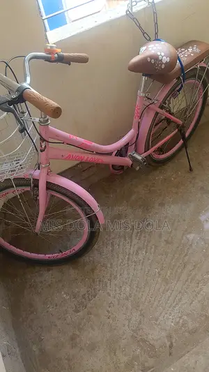 Selling a Beautiful Bicycle