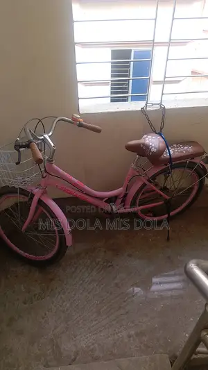 Selling a Beautiful Bicycle