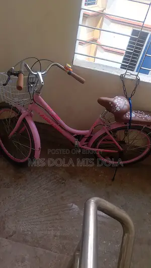 Selling a Beautiful Bicycle