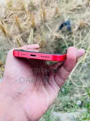 Apple iPhone 12 (Used)