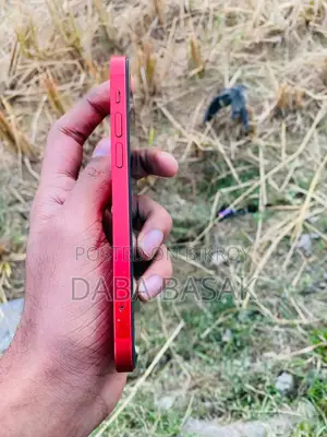 Apple iPhone 12 (Used)