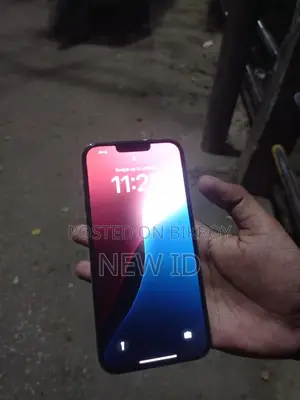 Apple iPhone 13 Pro Max (Used)