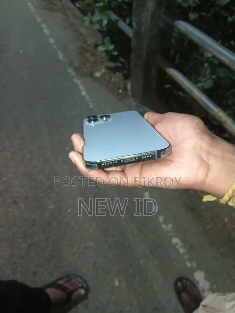 Apple iPhone 13 Pro Max (Used)