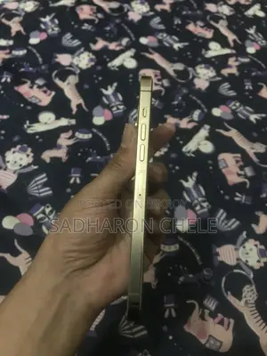 Apple iPhone 13 Pro Max ` (Used)