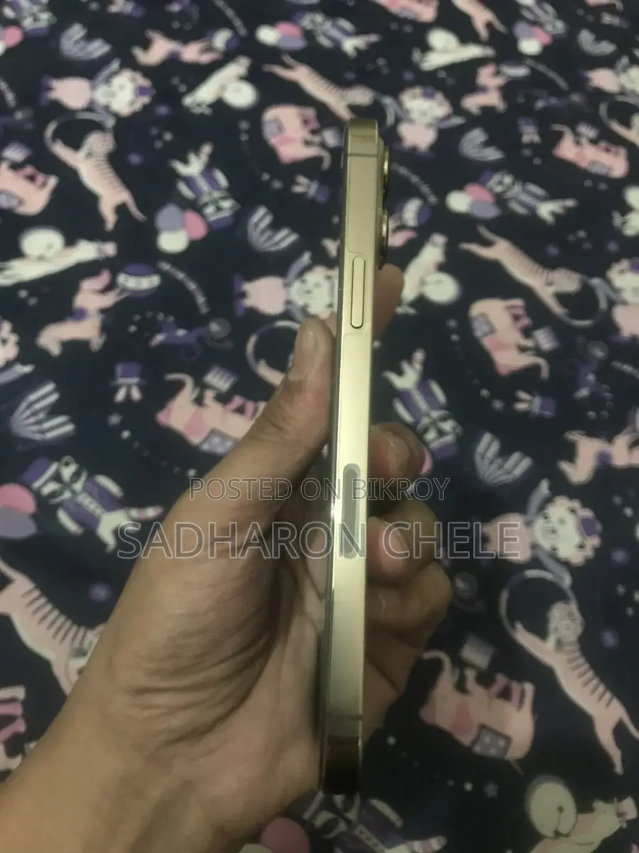 Apple iPhone 13 Pro Max ` (Used)