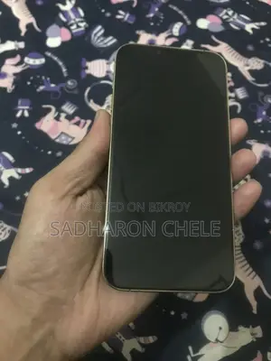 Apple iPhone 13 Pro Max ` (Used)