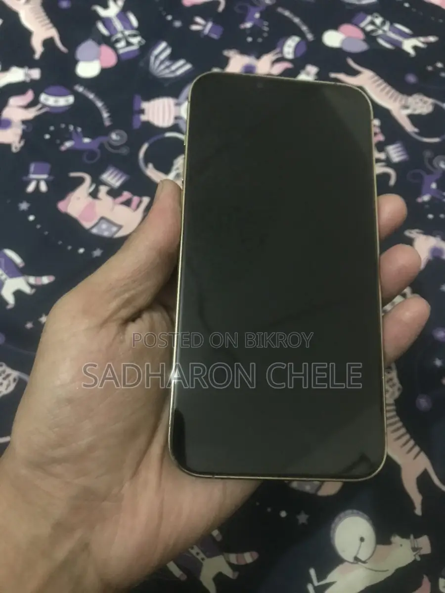 Apple iPhone 13 Pro Max ` (Used)