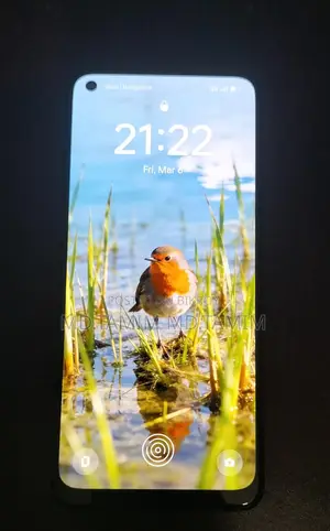 OPPO F21 Pro (Used)