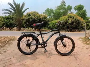 Best Eid Gift – Prince 20″ Kids' Bicycle | Fully Serviced