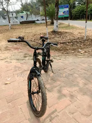 Best Eid Gift – Prince 20″ Kids' Bicycle | Fully Serviced