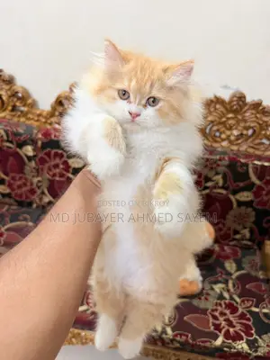 Sell Post Full Persian