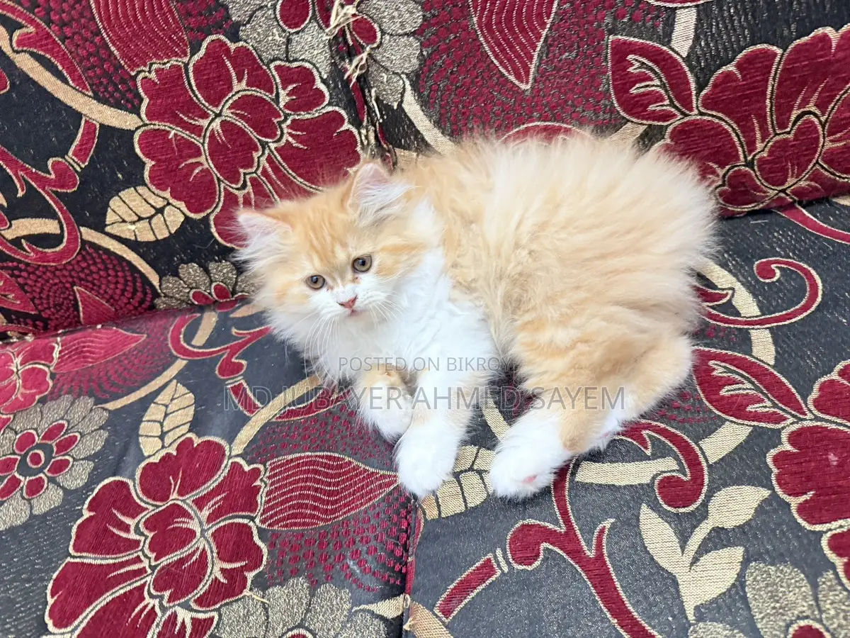 Sell Post Full Persian