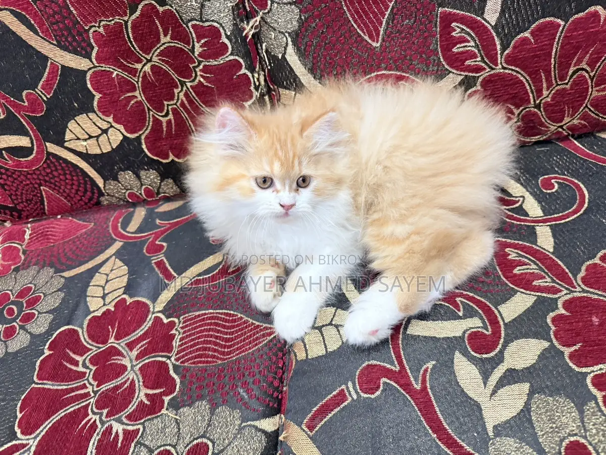 Sell Post Full Persian
