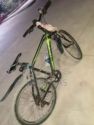 Velos 601 Bicycle - Like New and Sparkling