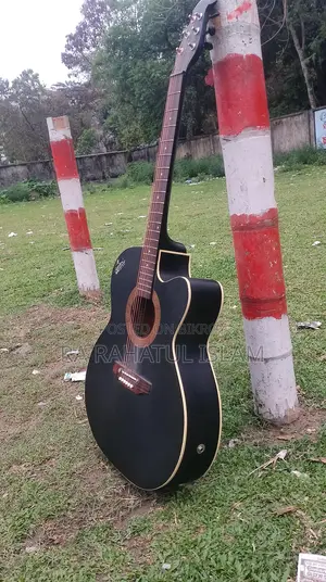 Signature Guitar