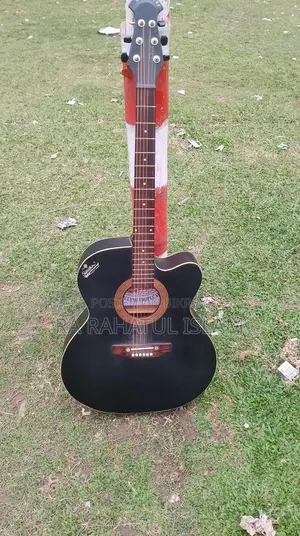 Signature Guitar