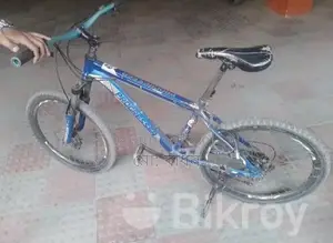 Phoenix Bicycle For Sale