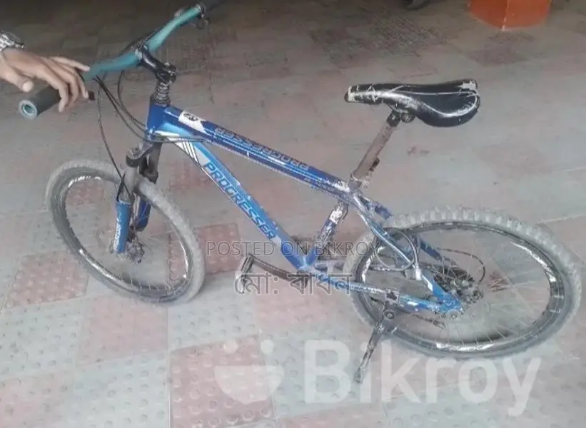 Phoenix Bicycle For Sale