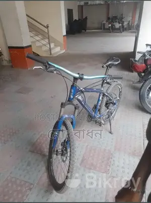 Phoenix Bicycle For Sale