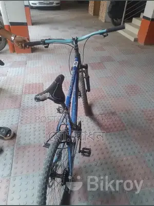 Phoenix Bicycle For Sale